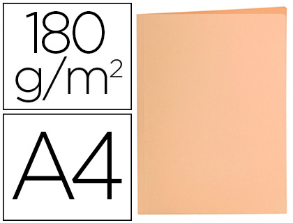 CLASSIFICADOR LIDERPAPEL DIN A4 LARANJA PASTEL 180GR