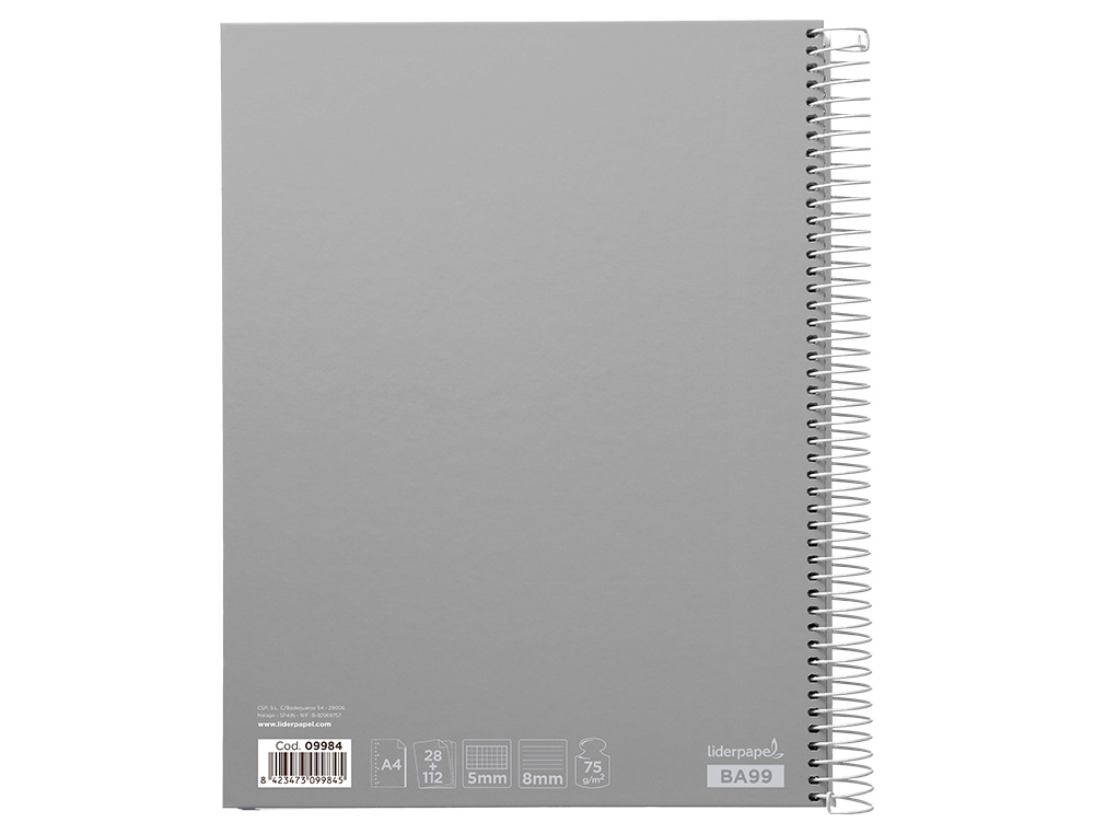 CADERNO ESPIRAL LIDERPAPEL JOLLY MICRO DIN A4 MULTIDISCIPLINA 140 F 75GR 28F 5MM 112F PAUTADAS 5 BANDAS DE CORES CORES S