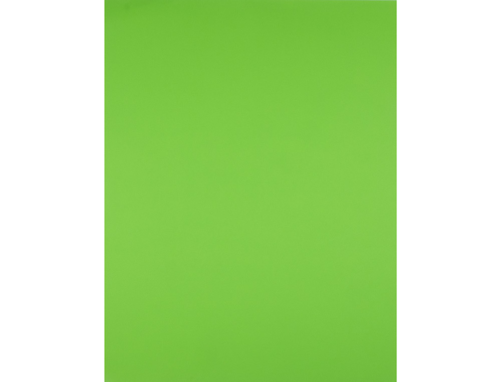 CARTOLINA LIDERPAPEL 50X65 CM 240 GR VERDE ERVA
