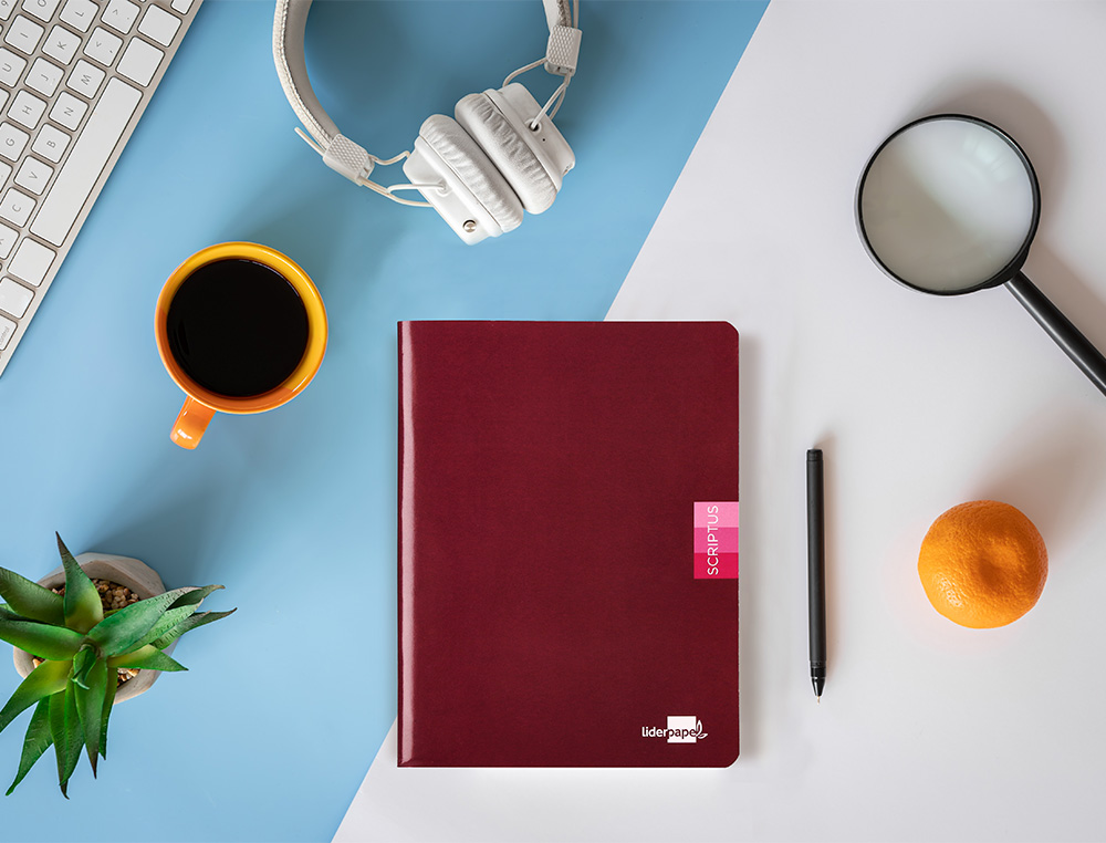 CADERNO AGRAFADO LIDERPAPEL SCRIPTUS DIN A5 48 F 90 GR QUADRICULA 5MM COM MARGEM CORES SORTIDOS