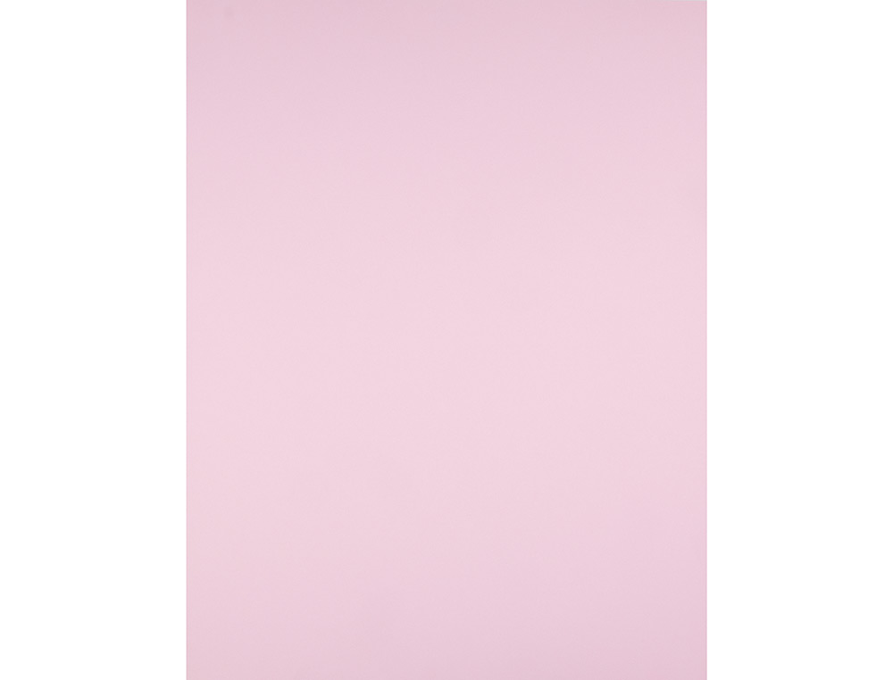 CARTOLINA LIDERPAPEL 50X65 CM 180 GR ROSA PACK DE 25 UNIDADES