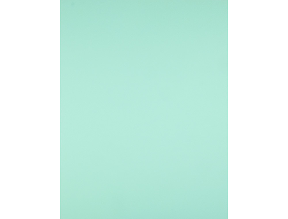CARTOLINA LIDERPAPEL 50X65 CM 180 GR VERDE PACK DE 25 UNIDADES